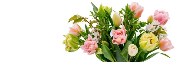 Elegant Mixed Tulips Spring Bouquet White Vase White Banner Copy — Stock Photo, Image