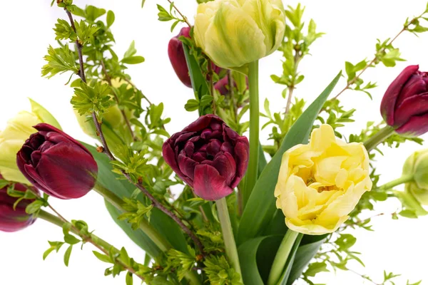 Élégant Bouquet Printemps Tulipes Mixtes Sur Fond Blanc Des Tulipes — Photo