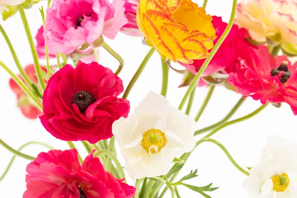 Elegante Bouquet Primavera Ranuncolo Misto Vicino Sfondo Bianco Lattughe Primaverili — Foto Stock