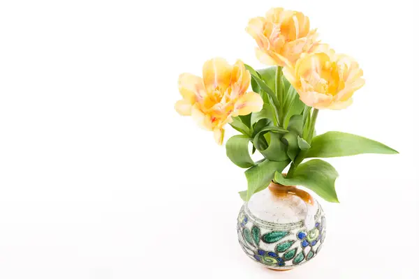 Dobbelt Bløde Gule Tulipaner Vase Hvid Baggrund Forår Tulipaner Buket Royaltyfrie stock-fotos