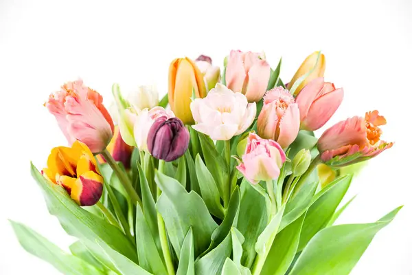 Eleganter Gemischter Pastellfarbener Frühlingsstrauß Auf Weißem Hintergrund Frühlingstulpen Tulpenstrauß lizenzfreie Stockbilder
