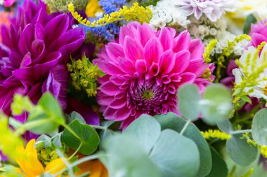 Pembe yıldız çiçekli yaz buketi. Çok güzel renkli taze çiçek aranjmanı. Yerel kaynaklı bir çiçek buketi. Yakın plan..