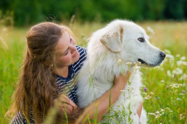 Genç kadın ve onun sevimli büyük beyaz Pireneler köpeği uzun çayırlarda oturuyor, birlikte vakit geçiriyorlar. Hayvan sahibi, evcil hayvan sevgisi, köpek arkadaşlık konsepti..