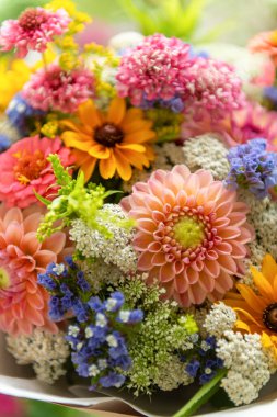 Yaz buketi. Çok güzel renkli taze çiçek aranjmanı. Yerel kaynaklı bir çiçek buketi. Yakın plan..