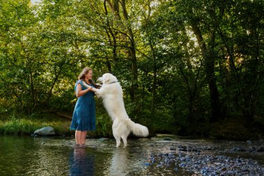 Genç kadın ve onun büyük beyaz Pireneler köpeği sıcak yaz günü bir derede serinleyerek birlikte vakit geçiriyorlar. Hayvan sahibi, evcil hayvan sevgisi, köpek arkadaşlık konsepti..