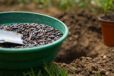 Organik toprak gübresi. Toprağı ekime hazırlamak, sıkıştırılmış tavuk gübresiyle gübrelemek. Çevre dostu bahçe işleri.. 