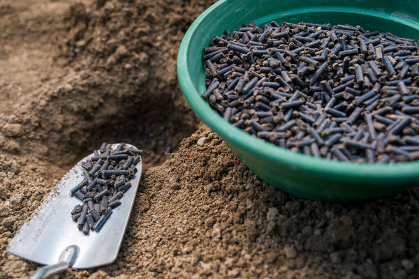 Organic soil fertiliser. Preparing soil for planting, fertilizing with compressed chicken manure pellets. Eco friendly gardening. 