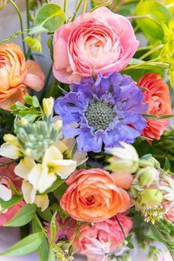 Bahar çiçeği buketi. Güzel pastel renkli taze çiçek aranjmanı. Açık havada Ranunculus, Matthiola ve Scabiosa 'dan yapılmış doğum günü buketi. 