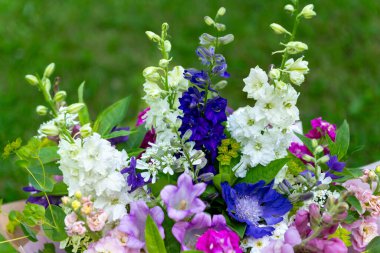 Karışık bahar çiçeklerinden yapılmış çiçek buketi. Güzel pembe, beyaz ve mavi çiçek aranjmanı. Larkspur ve Matthiola stoklu doğum günü buketi.