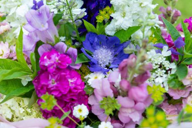 Karışık bahar çiçeklerinden yapılmış çiçek buketi. Güzel pembe, beyaz ve mavi çiçek aranjmanı. Larkspur ve Matthiola stoklu doğum günü buketi.