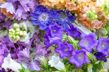 Mor ve mavi tonlarında taze kesilmiş bahar çiçeklerini kapatın. Güzel dezenyum, Canterbury çanları ve aslanağzı. Çiçek detay çekimi. 