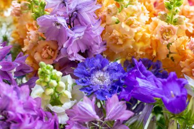 Mor ve mavi tonlarında taze kesilmiş bahar çiçeklerini kapatın. Güzel dezenyum, Canterbury çanları ve aslanağzı. Çiçek detay çekimi. 