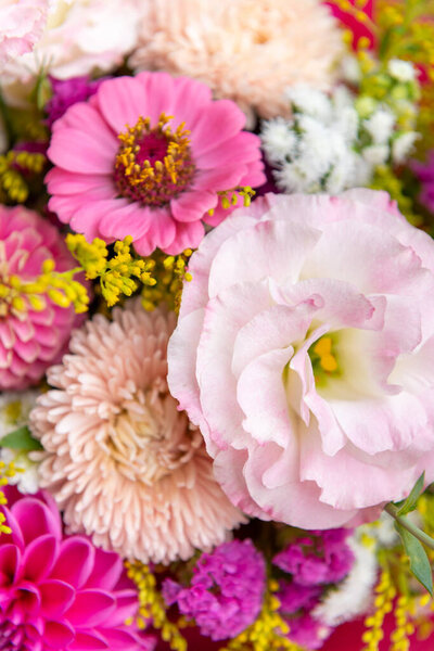 Summer bouquet. Beautiful pink dahlias, lisianthus and zinnias arrangement. Birthday or wedding bouquet made of summer flowers close up.