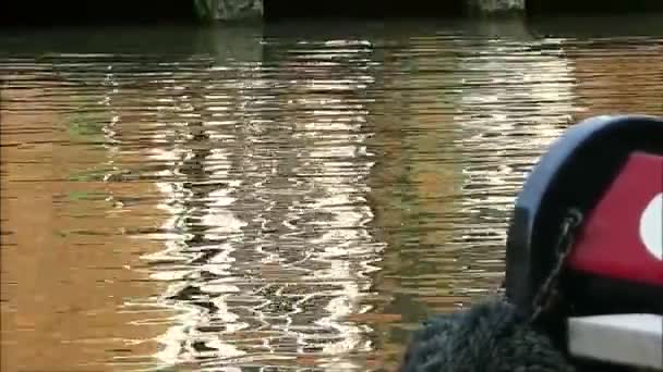运河流域的阳光反射 联合王国北安普敦郡斯托克布鲁恩大联盟运河流域水的软反射 — 图库视频影像