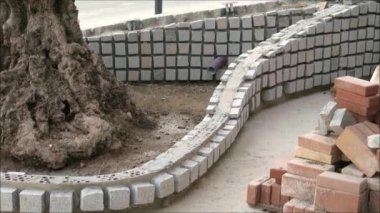 Yaşlı zeytin ağacının etrafına dekoratif asfalt döşeme. Endülüs köyündeki eski zeytin ağacını çevreleyen dekoratif asfalt.