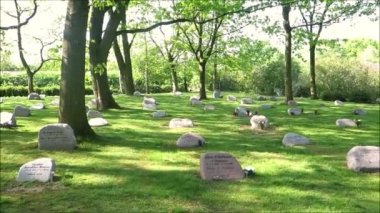 Danimarka 'nın güneyindeki köyde huzurlu bir mezarlık. Güney Danimarka köyünde ağaçlar, çimenler ve güneşli huzurlu bir mezarlık.