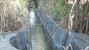 Güneşli bir günde Endülüs köyü yakınlarında sakin sularda dalgalanmalar