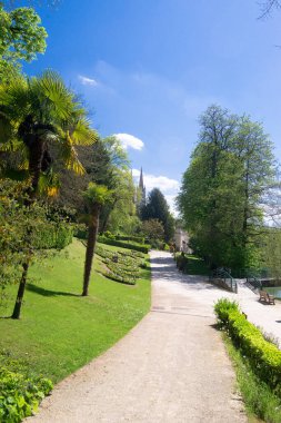 Niort botanik bahçesinde palmiye ağaçları