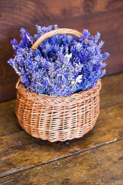 Tahta bir sepetin içinde taze lavanta (Lavandula angustifolia)