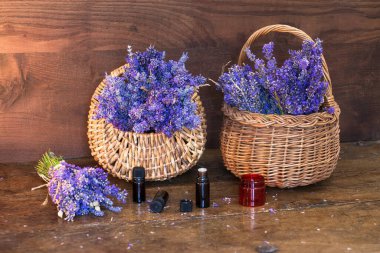 Tahta bir sepetin içinde taze lavanta (Lavandula angustifolia)