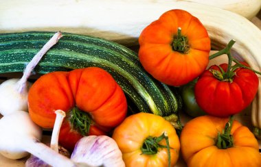 Akdeniz sebzeleri: Kabak, kabak, domates, sarımsak, soğan