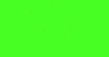 Yeşil arkaplandaki kırmızı kalplerden havai fişekler, düz 4K animasyon..