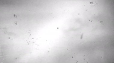 Animasyon Grunge Doku Örtüsü Arkaplan, Boyama ve Fırça Vuruşları Yarıton Efekti, Analog El Yapımı Eski Film Dokusu