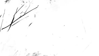 4k Döngülü Soyut Grunge Doku Örtüsü