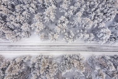 Kışın orman manzarasında hava aracı görüntüsü