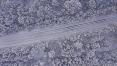 Kışın orman arazisindeki yolun hava aracı görüntüleri.
