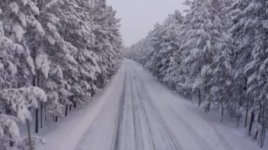 Kışın orman arazisindeki yolun hava aracı görüntüleri.