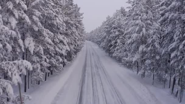Съемки Беспилотника Дороги Зимнем Лесу — стоковое видео