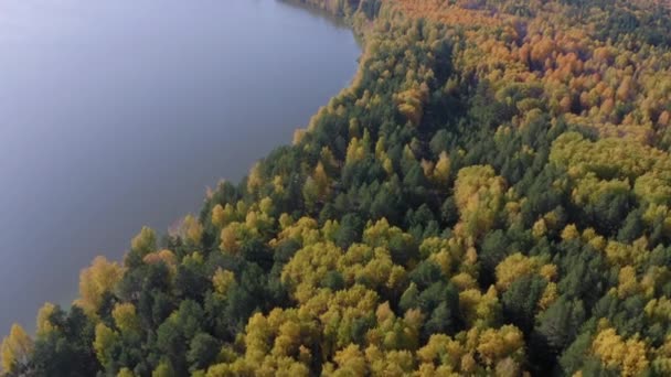 秋天被五彩斑斓的森林环绕的美丽湖泊的空中画面 — 图库视频影像