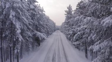 Kışın orman arazisindeki yolun hava aracı görüntüleri.