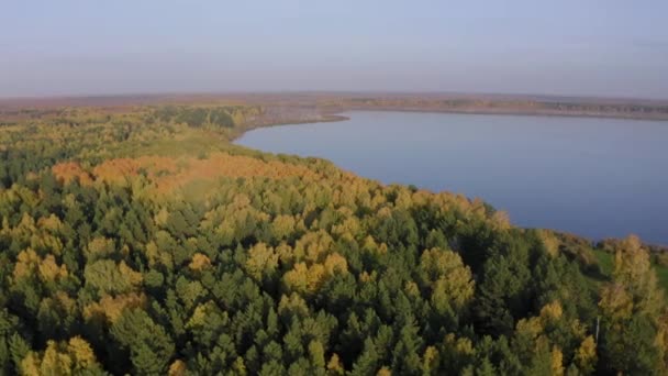 Rekaman Udara Dari Danau Yang Indah Dikelilingi Oleh Hutan Berwarna — Stok Video