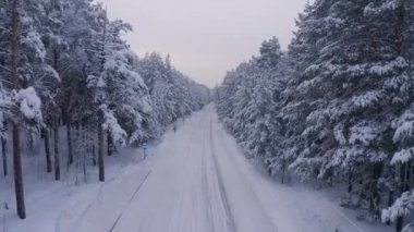 Kışın orman arazisindeki yolun hava aracı görüntüleri.