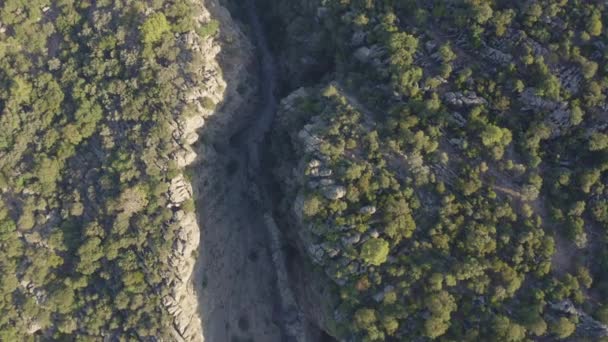 Drohnenaufnahmen Vom Koprulu Canyon Der Türkei — Stockvideo