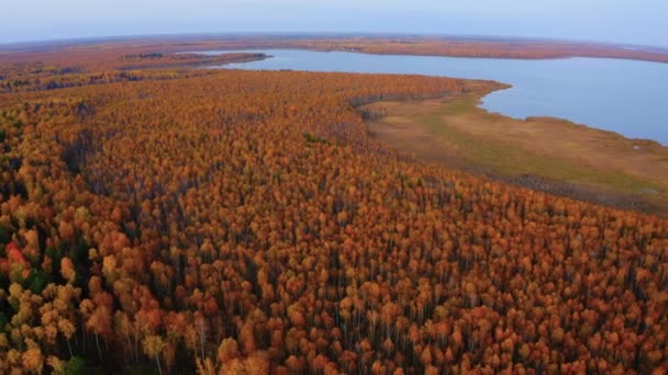 Letecké Záběry Krásného Jezera Obklopeného Barevným Lesem Podzim — Stock video
