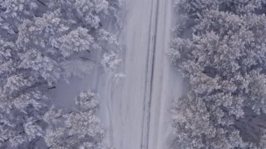 Kışın orman arazisindeki yolun hava aracı görüntüleri.