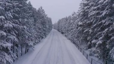 Kışın orman arazisindeki yolun hava aracı görüntüleri.