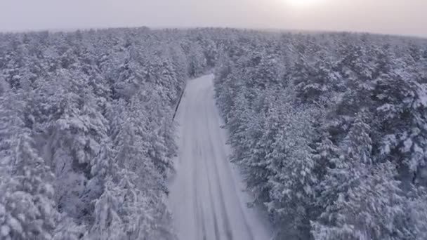 Fly Droneopptak Bil Som Kjører Alene Vinter Skogsvei – stockvideo