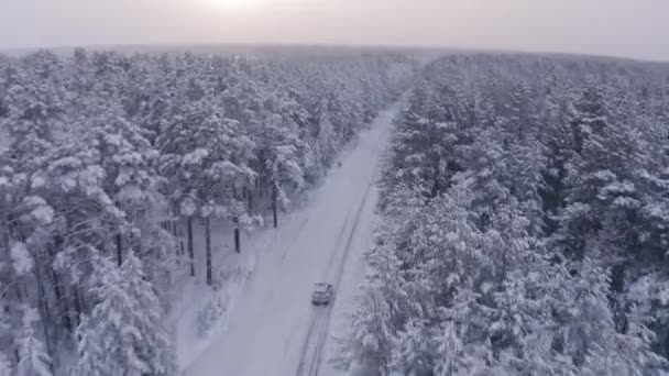 Повітряний Безпілотник Знімок Автомобіля Їде Поодинці Зимовою Лісовою Дорогою — стокове відео