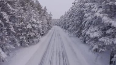 Kışın orman arazisindeki yolun hava aracı görüntüleri.