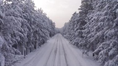 Kışın orman arazisindeki yolun hava aracı görüntüleri.