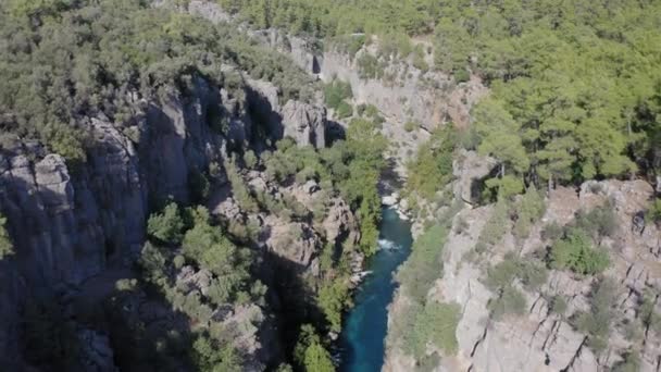 Luchtfoto Drone Beelden Van Bergrivier Met Watervallen Door Koprulu Canyon — Stockvideo