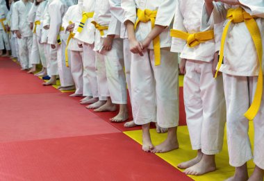 Kimonolu çocuklar dövüş sanatları eğitiminde tatami üzerinde duruyorlar.