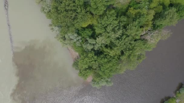 Luftaufnahmen Der Flüsse Morava Und Donau Teilen Gewässer Der Nähe — Stockvideo
