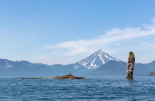 Tebing Batu Besar Dekat Teluk Russkaya Rusia Kamchatka — Stok Foto