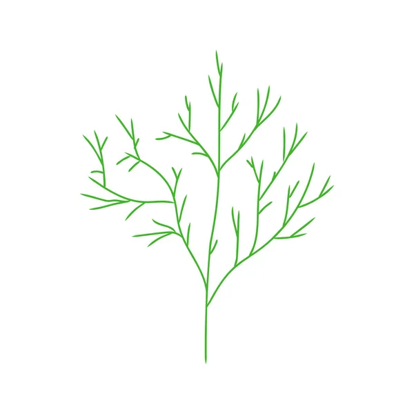 Кріп Ізольований Гостра Трава Їжі Гілка Кропу Векторні Ілюстрації — стоковий вектор
