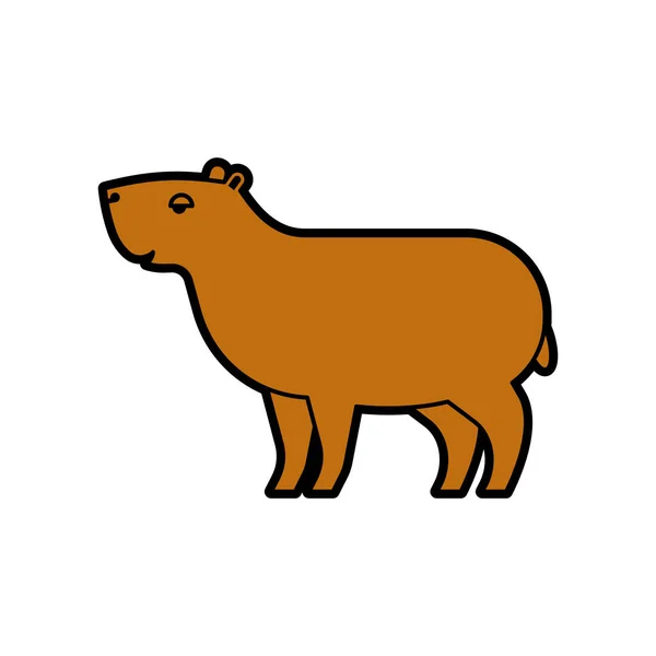 Capybara Terisolasi Ilustrasi Vektor Babi Percobaan - Stok Vektor